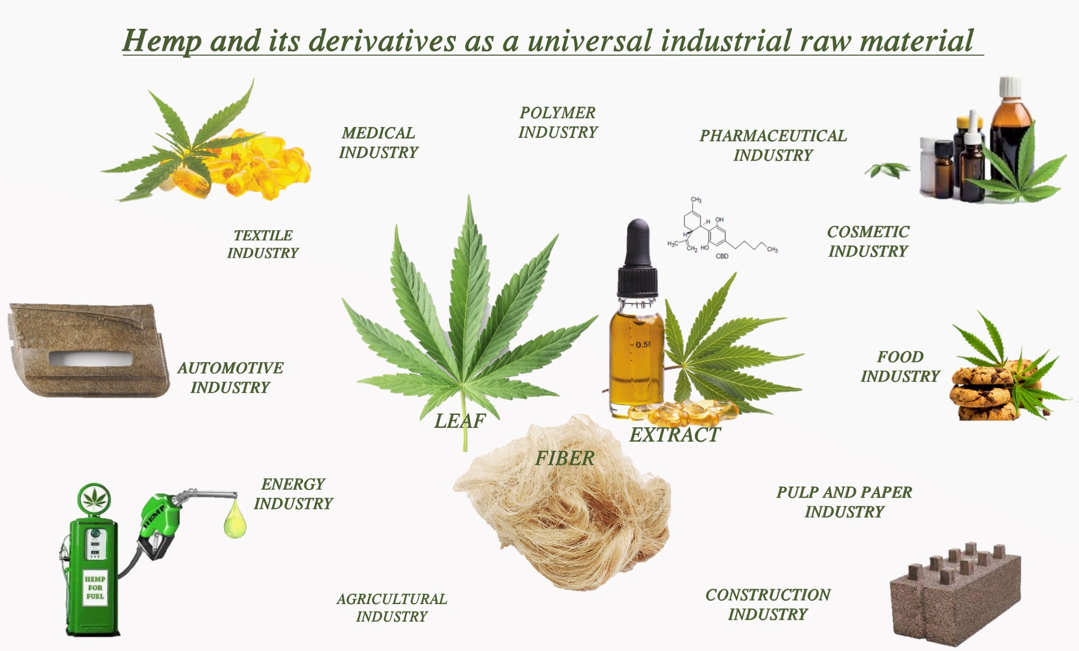 Hemp Can Be Used in a Wide Range of Products
