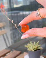 Gummy