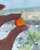 Gummy